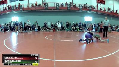 102 lbs Quarterfinal - Ryan Gallagher, Unattached vs La`Raya Veazy, The Fort Hammers Wrestling
