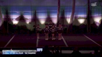 Florida Top Dog All Stars - Tiny Tangerine [2026 L1 Tiny - Novice - Restrictions Day 1] 2026 The American Open Orlando Nationals