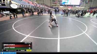 119 lbs Champ. Round 2 - Brock Stortz, IA vs Caiden Hodge, MI