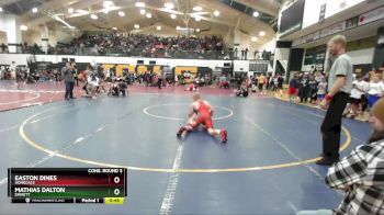 125 lbs Cons. Round 3 - Easton Dines, Homedale vs Mathias Dalton, Emmett