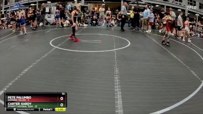 72 lbs Round 5 (8 Team) - Carter Hardy, Dynasty National Team vs Pete Palumbo, Hammers Yellow