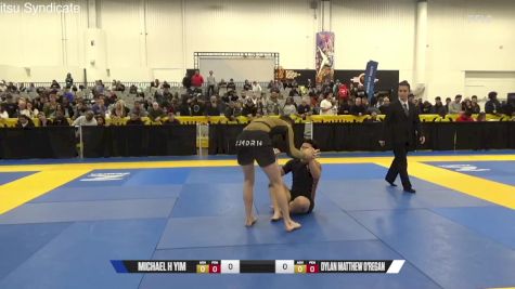 Dylan Matthew O'Regan vs Michael H Yim 2024 World IBJJF Jiu-Jitsu No-Gi Championship