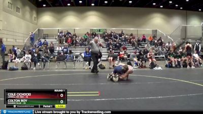 110 lbs Round 1 (4 Team) - Colton Roy, Dundee Blue vs Cole Cichocki, Lowell WC Red