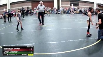 60 lbs Quarterfinal - Nathanael Kanagy, Team Palmetto vs Laken Anderson, Ares
