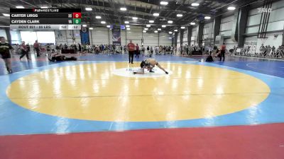 95 lbs Consi Of 16 #2 - Carter Lirgg, SC vs Cayden Clark, VA