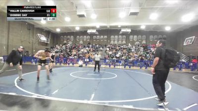 113 lbs Quarterfinal - Dominic Day, St. Joseph vs Hallin Carbough, Cabrillo