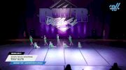 South Texas Strutters - Tiny Elite [2024 Tiny - Contemporary/Lyrical Day 2] 2024 Power Dance Grand Nationals