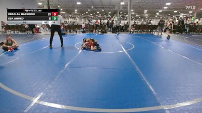 64 lbs Round 4 (6 Team) - Deaglan Harrison, Steller Trained Fett vs Esa Ahmed, Brawler Elite