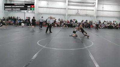 72 lbs Round 6 (8 Team) - Dominic Golembiewski, Neighborhood Wrestling vs Andrew Palumbo, CTWHALE Green
