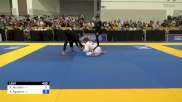 Rehan Muttalib vs AJ Agazarm 2024 World Masters IBJJF Jiu-Jitsu Championship