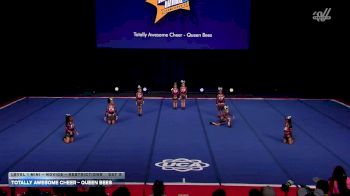 Totally Awesome Cheer - Queen Bees [2026 L1 Mini - Novice - Restrictions Day 2] 2026 UCA & UDA All Star Nationals
