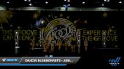 Dancin Bluebonnets - Junior Contemporary [2019 Junior - Contemporary/Lyrical - Small Day 2] 2019 Encore Championships Houston D1 D2