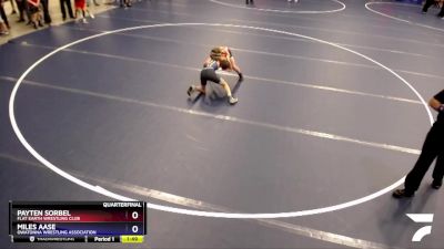 83 lbs Quarterfinal - Payten Sorbel, Flat Earth Wrestling Club vs Miles Aase, Owatonna Wrestling Association