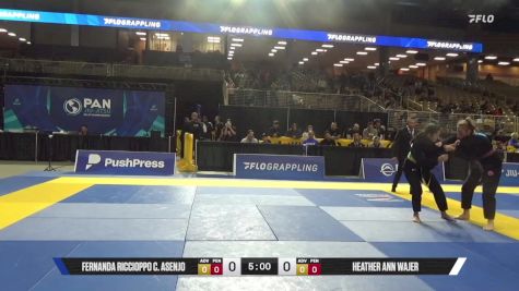 Heather Ann Wajer vs Fernanda Riccioppo C. Asenjo 2025 Pan Jiu Jitsu IBJJF Championship