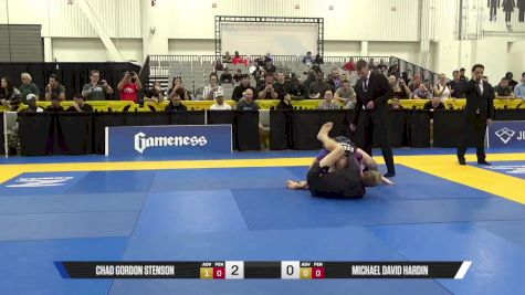 Michael David Hardin vs Chad Gordon Stenson 2025 World IBJJF Jiu-Jitsu No-Gi Championship