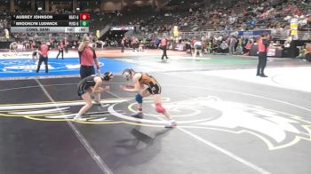 Cons. Semi - Brooklyn Ludwick, Papillion-La Vista South vs Aubrey Johnson, Beatrice