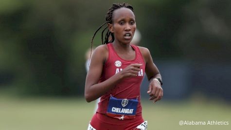 2021 DI NCAA XC Championships
