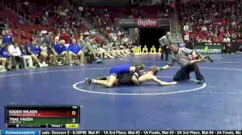 132 lbs 5th & 7th Place - Kaden Wilken, 4-Nashua-Plainfield vs Trae Hagen, 7-Wilton