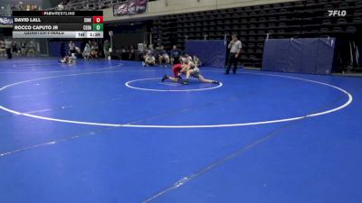 105 lbs Quarterfinal - David Lall, Sinking Spring vs Rocco Caputo Jr, Cedar Grove