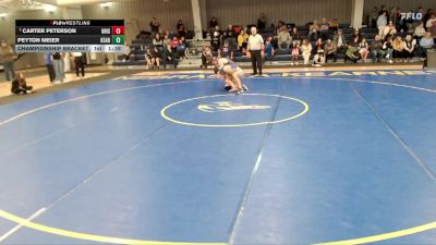 175 lbs Championship Bracket - Carter Peterson, Grand Island vs Peyton Meier, Kearney