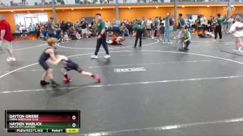 55 lbs Round 5 - Dayton Griebe, Cobra Wrestling Club vs Hayden Warlick, Suplex City Raptors