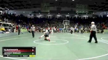 152 lbs Quarterfinal - Anthony Rinehart, Zionsville vs Eli Bustamante, Indianapolis Bishop Chatard