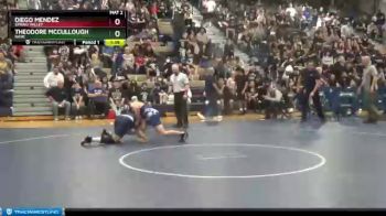 160 lbs Quarterfinal - Theodore McCullough, Basic vs Diego Mendez, Spring Valley