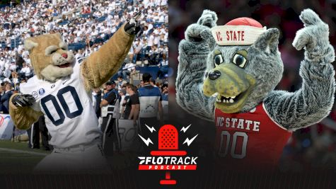 Wolf vs Cougar: Who Wins In A Fight?