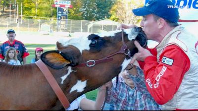 Kissing The Cow: A Milk Bowl Tradition