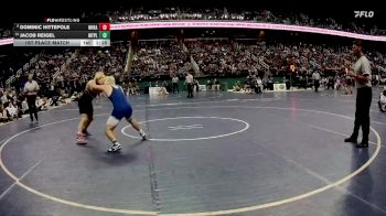 2A 175 lbs 1st Place Match - Dominic Hittepole, Wheatmore vs Jacob Reigel, Mt Pleasant