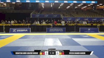 Sebastian Andr Lobaton Vargas vs Steven Shanon Hanson 2026 IBJJF Orlando Summer Open