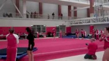 Ball State (Emily Wehrle)