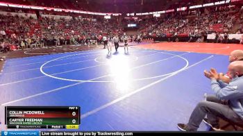 D1-126 lbs Quarterfinal - Collin McDowell, Arrowhead vs Carter Freeman, Wisconsin Rapids Lincoln