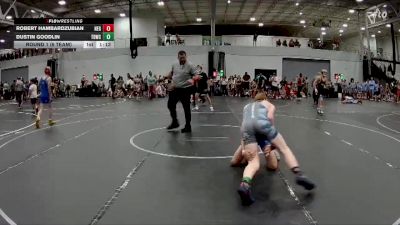 120 lbs Round 1 (6 Team) - Robert Hambardzubian, New England Gold vs Dustin Goodlin, TDWC