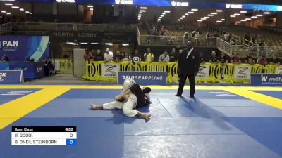 ROBERTO GODOI vs BRADLEY ONEIL STEINBORN 2023 Pan Jiu Jitsu IBJJF Championship