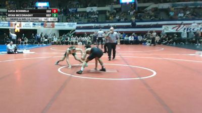 132 lbs Semis & Wb (16 Team) - Luca Schinelli, Grassfield vs Ryan Mcconaghy, West Deptford