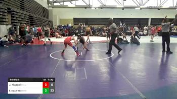 101 lbs Prelims - Jonah Happel, Palmetto vs Tyler Nguyen, Minion Green MS