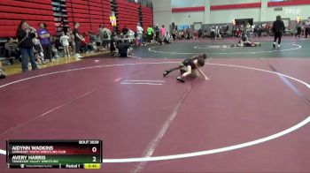 55 lbs Cons. Round 4 - Avery Harris, Tennessee Valley Wrestling vs Aidynn Wadkins, Lionheart Youth Wrestling Club