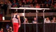 Danell Leyva - AT&T American Cup 2012 - Parallel Bars