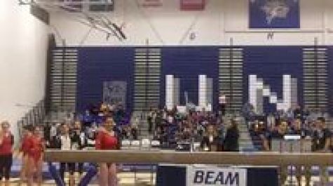 Brown (Becca Freedman)