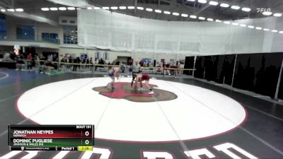 165 lbs Cons. Round 3 - Dominic Pugliese, Johnson & Wales (RI) vs Jonathan Neypes, Norwich