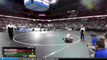 D3-145 lbs Semifinal - Cael Erickson, Cedar Grove-Belgium vs Griffin Marko, Saint Croix Falls