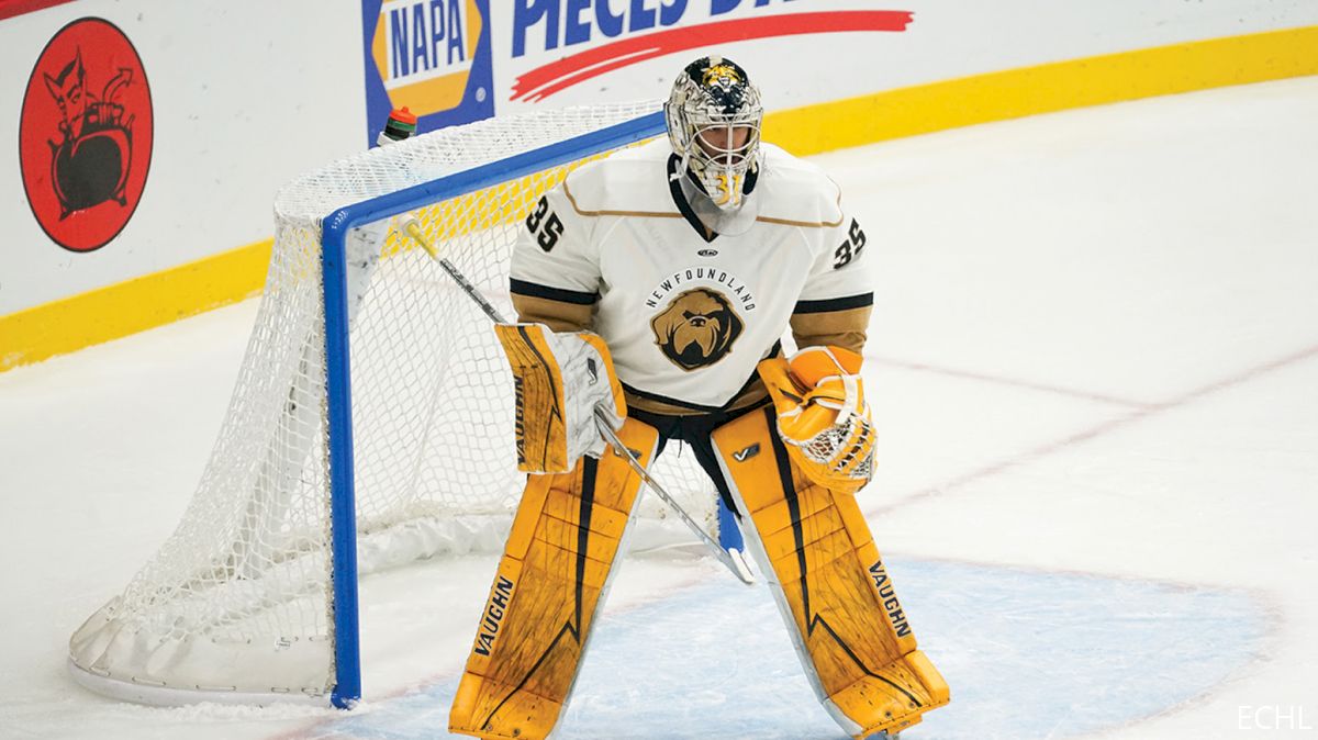 Newfoundland's Keith Petruzzelli Named ECHL Goaltender Of The Week