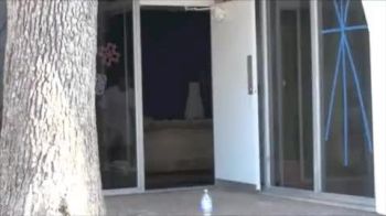 Stick of the Week - Kyndal Robarts