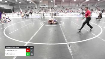 138 lbs Quarterfinal - Caedyn Ricciardi, Iron Horse Wrestling Club vs Tyler Traves, Team Shutt