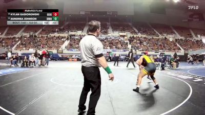 152-D1 Cons. Round 1 - Aundrea Johnson, Sunrise Mountain vs Kylan Gasiorowski, Boulder Creek High School