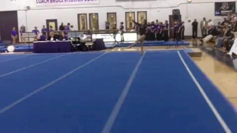 Brown (Danielle Hoffman) - 9.675