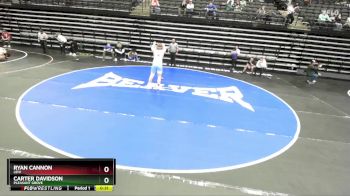 193 lbs Semifinal - Carter Davidson, Pleasant Grove vs Ryan Cannon, Lehi