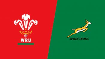Replay: Wales vs South Africa