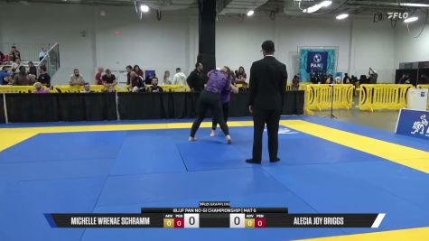 Alecia Joy Briggs vs Michelle Wrenae Schramm 2026 Pan IBJJF Jiu-Jitsu No-Gi Championship